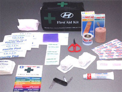 2010 Hyundai Sonata First Aid Kit U8820-00100