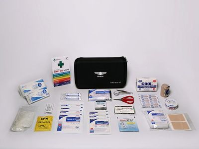 2017 Hyundai Genesis G90 First Aid Kit-Premium B1F73-AU000-16