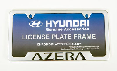 2010 Hyundai Azera Azera License Frame 00402-31920