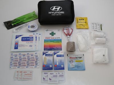 2018 Hyundai Santa Fe Sport First Aid Kit J0F73-AU000-17